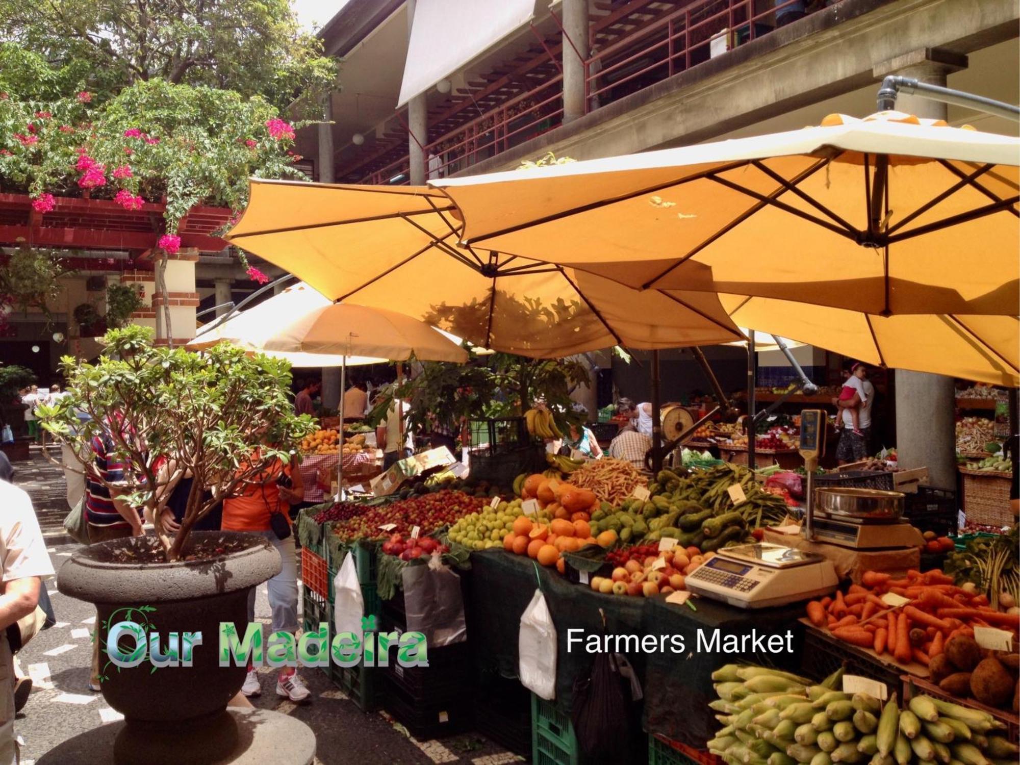 丰沙尔Ourmadeira - Heart Of Old Town II公寓 外观 照片