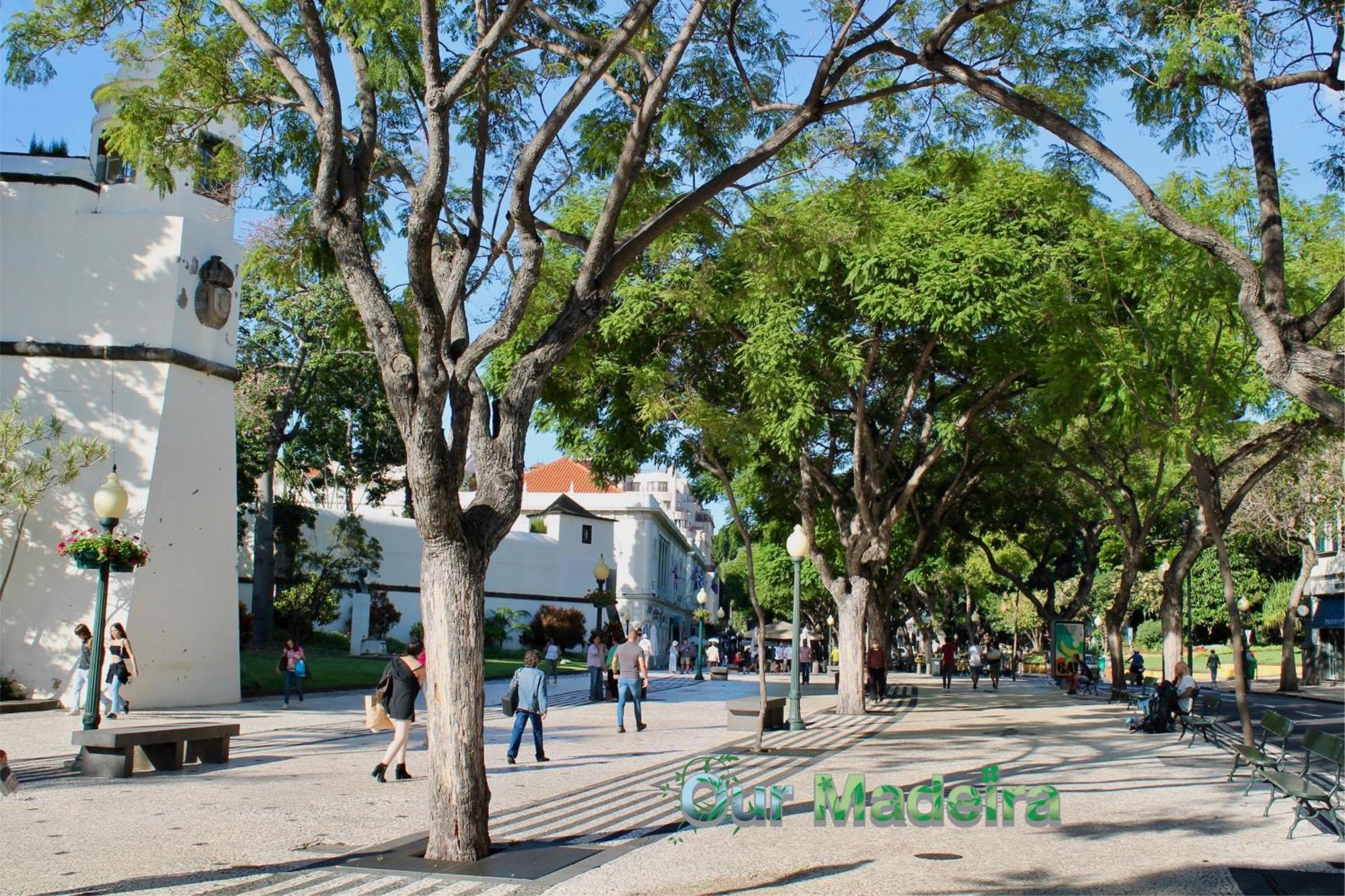 丰沙尔Ourmadeira - Heart Of Old Town II公寓 外观 照片