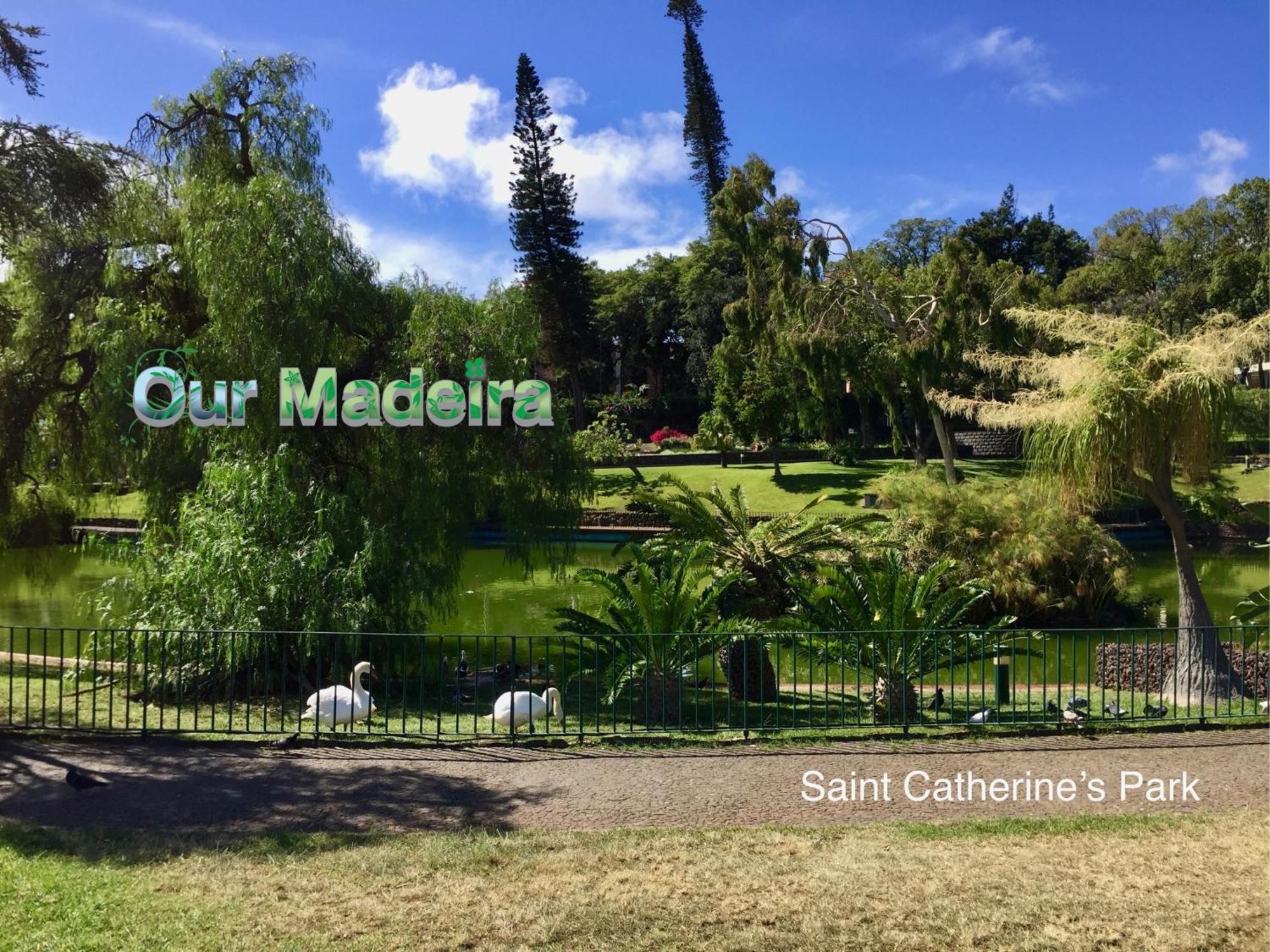 丰沙尔Ourmadeira - Heart Of Old Town II公寓 外观 照片