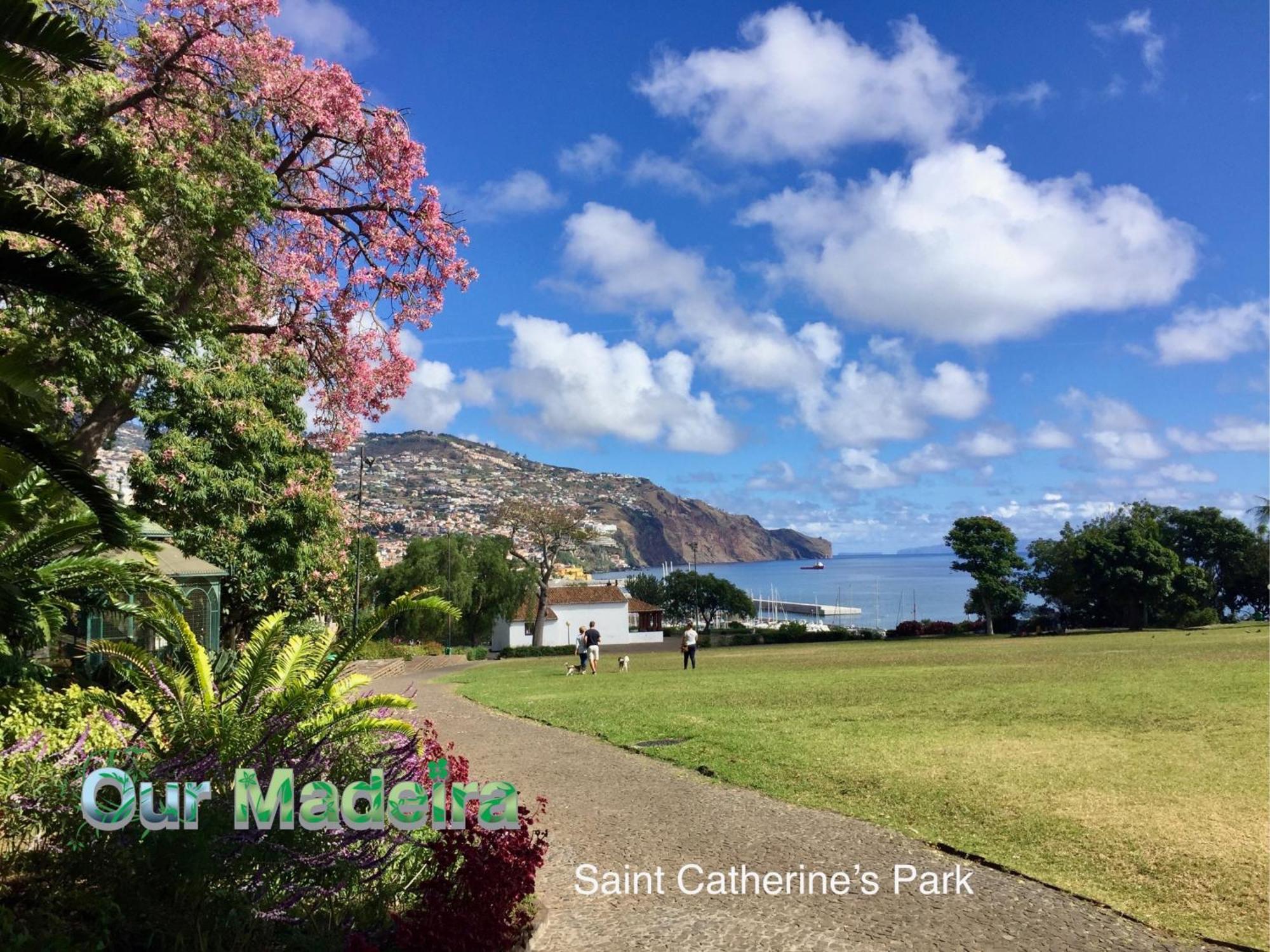丰沙尔Ourmadeira - Heart Of Old Town II公寓 外观 照片